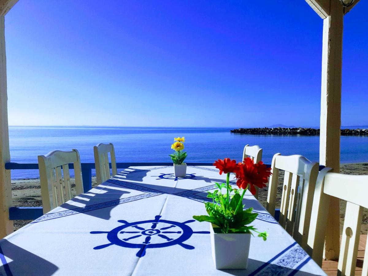 Medusa Apartments Kateleios Dış mekan fotoğraf